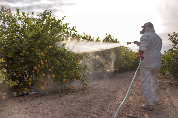 Best Spider Control Near Me  in Marysville, CA